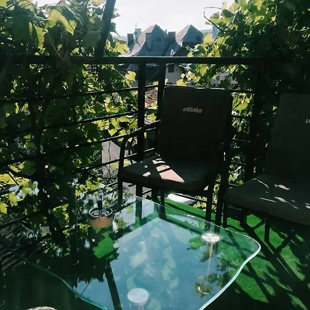 Apartman Denza Center *