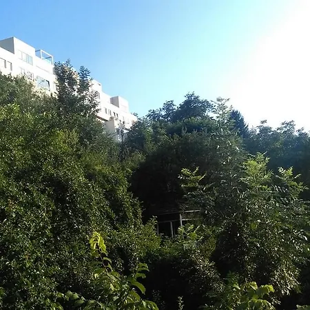 Denza Center * Saraievo