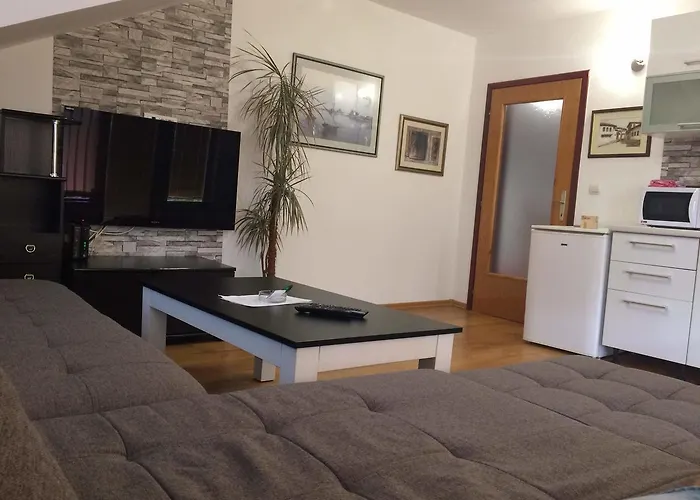 Denza Center Apartment